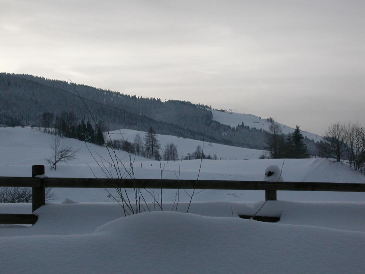 Gourmet-Hotel Gruenwald Leogang Eksteriør billede